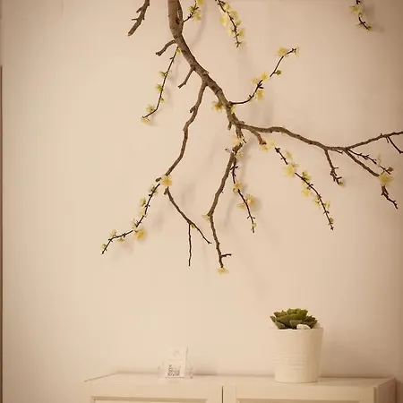 Casa Catalina בית הארחה